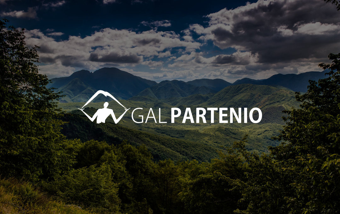 PSR CAMPANIA 2014/2020 T. I. 6.4.1 ERRATA CORRIGE