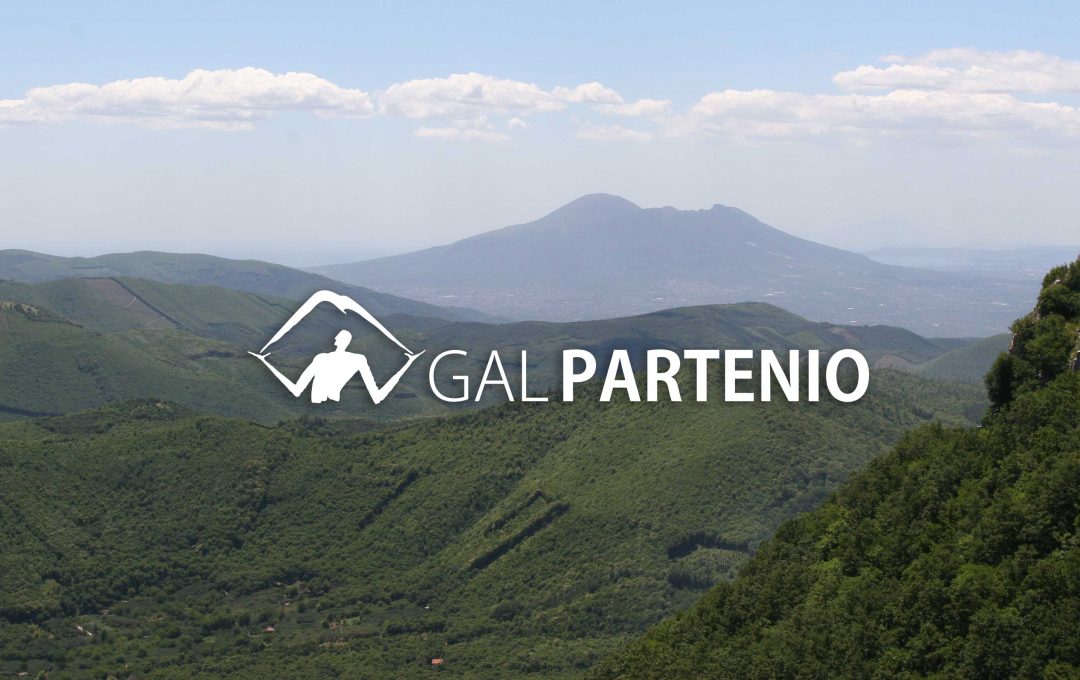 PSR 2014/2020 GAL PARTENIO T.I. 16.1.1 azione 2 – GRADUATORIA DEFINITIVA