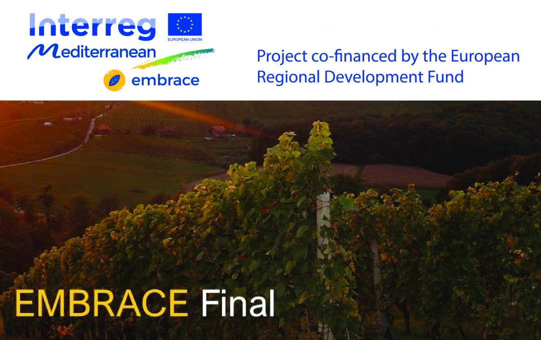 Embrace Final Event