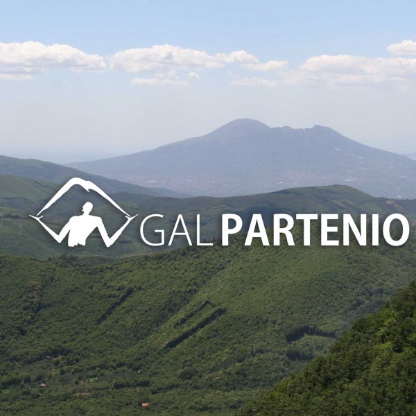 BANDO PER N° 1 “ASSEGNO PROFESSIONALIZZANTE” PROGETTI: “PROCACI” e “FUNZIONAMENTO ISA”