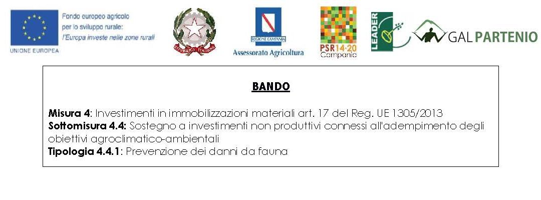PSR CAMPANIA 2014 /2020 – GRADUATORIA PROVVISORIA T.I. 4.4.1