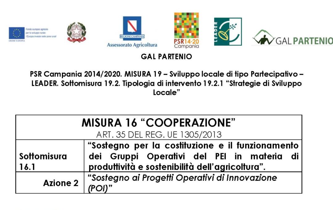 PSR CAMPANIA 2014/2020 – GRADUATORIA DEFINITIVA T.I. 16.1.1 VERS. 2023