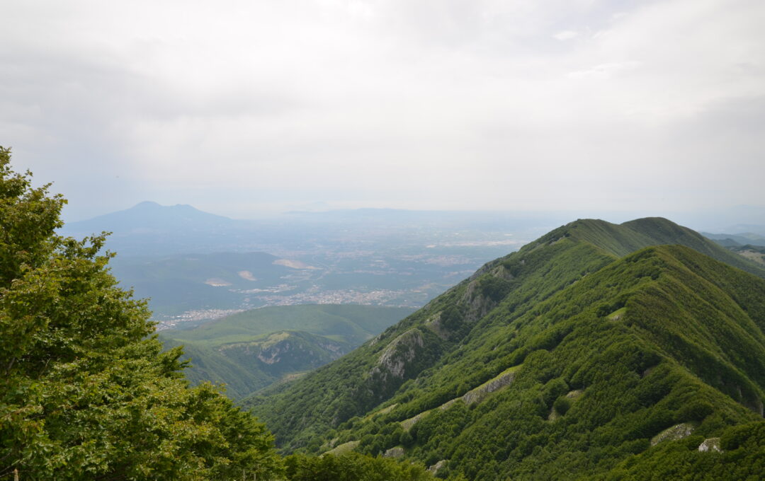 PSR 2014/20 GAL PARTENIO CONSORZIO T.I. 7.5.1 – PROROGA BANDO 17-06-2024