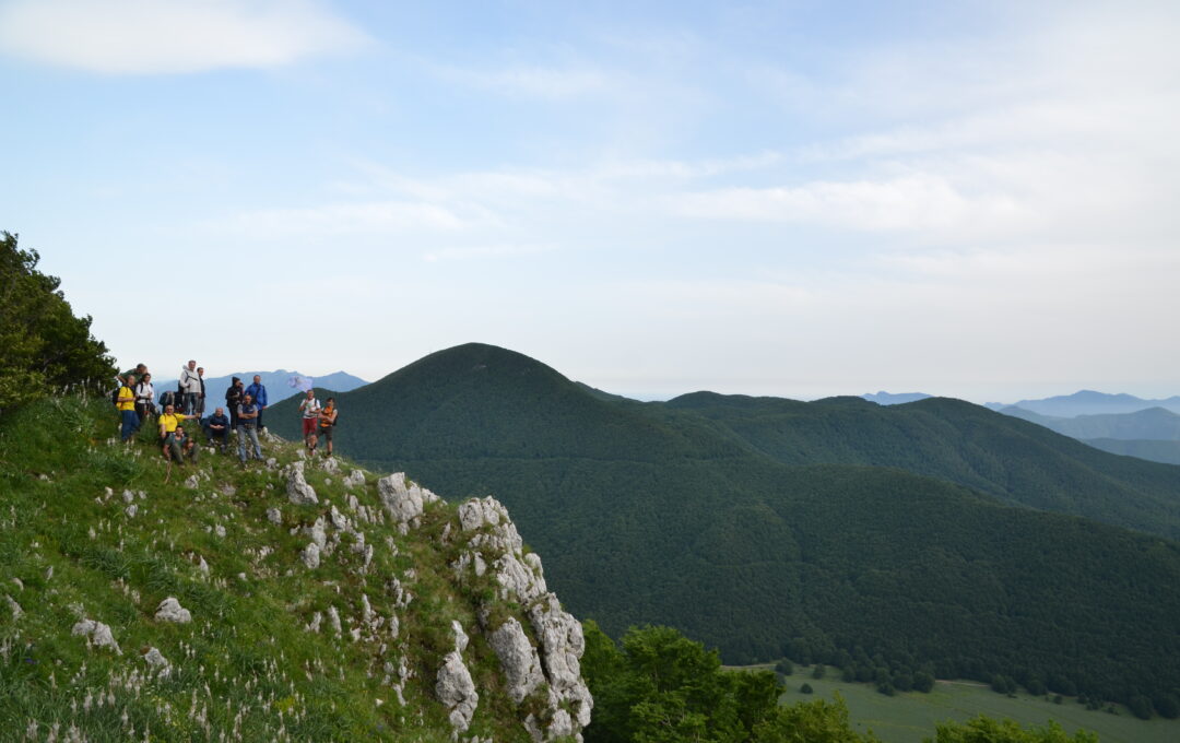 Short list di consulenti, tecnici ed esperti per l’attuazione della strategia di sviluppo locale del psl “Terre del Partenio” e per lo sviluppo del territorio, della competitività a livello internazionale e a sostegno della coesione territoriale, della crescita e dell’occupazione.