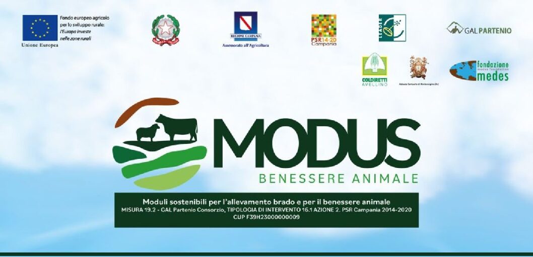 PSR CAMPANIA 2014/2020- T.I. 16.1.1. AZIONE 2 – PROGETTO MODUS – BANDO DI SELEZIONE PER L’ASSEGNAZIONE DI N. 2 CONSULENTI ESTERNI : Profilo  a) Supporto  per analisi di fattibilità di un modello di gestione collettivo dei pascoli Profilo b) Supporto  per le attività  di divulgazione e disseminazione per il partner  Federazione Provinciale Coldiretti Avellino
